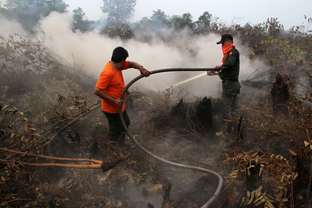 Petugas Manggala Agni berusaha memadamkan api yang membakar hutan dan lahan gambut di Pekanbaru, Riau. ANTARA FOTO/Rony Muharrman