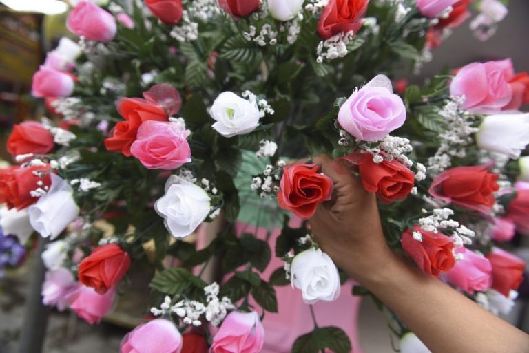 Hari Kasih Sayang untuk Alam