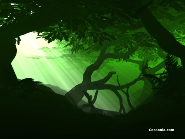 Menanam Pohon Kehidupan, Menanam Rahmatan Lil ‘Alamin