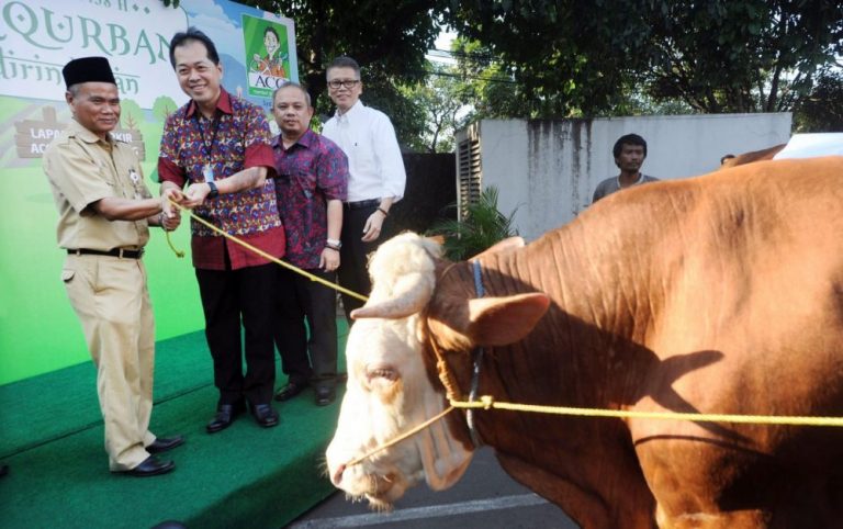 Kurban, Tradisi Penyembelihan, dan Sedekah Sosial