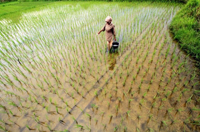 Batas antara Tragedi dan Humor pada Meme