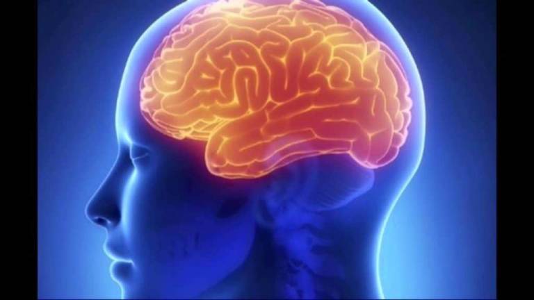 Neurosains Trauma: Ketika Luka Sejarah Tertanam di Otak Kita