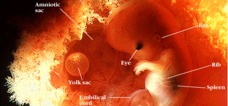 Mengenal Diri Sendiri