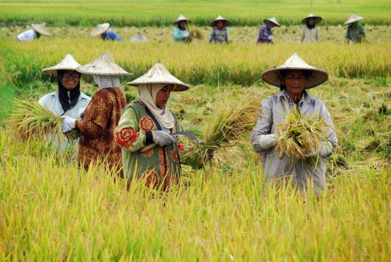 Islam dan Agraria: Melihat dari Perspektif Nabi Muhammad SAW