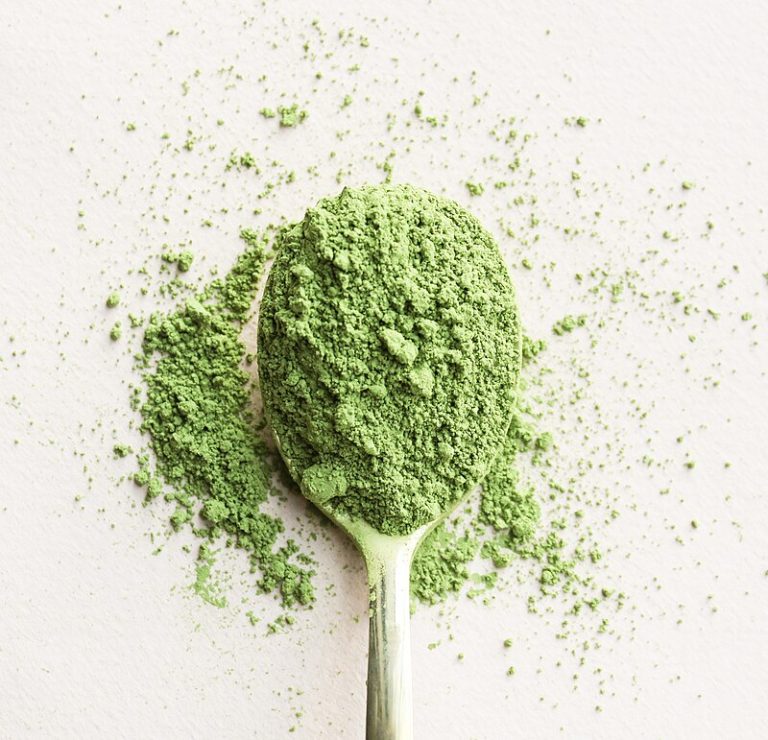 Matcha Mania