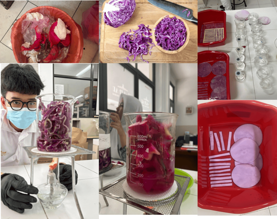 geotimes - From Cafeteria Waste to the Lab Hylosica Paper and the Future of School Science Innovation