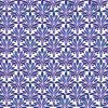 Muhammad Afwan Shofi
