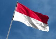 Menatap Politik Indonesia Lewat Sudut Pandang Kesadaran Integral